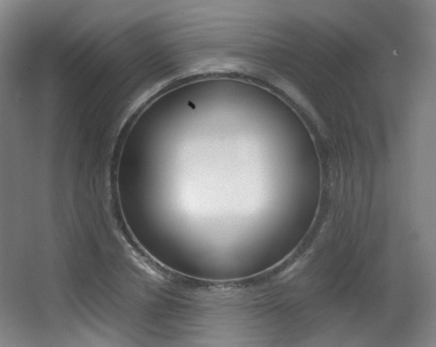 X0000062850834200601130919