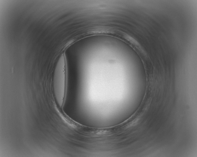X0000062850841200601130919