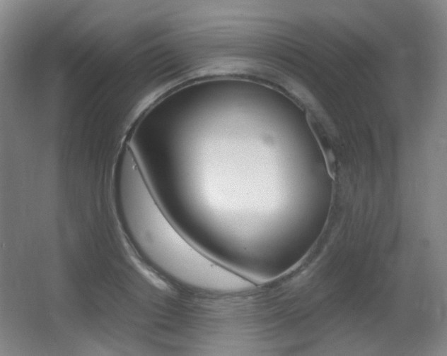 X0000062850842200601130919