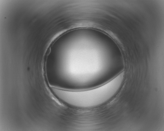X0000062850846200601130919