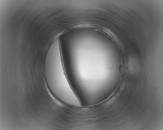 X0000062850849200601130919