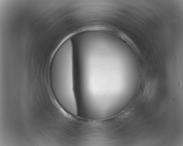 X0000062850852200601130919