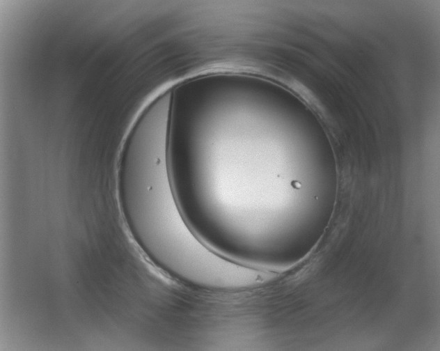 X0000062850854200601130919