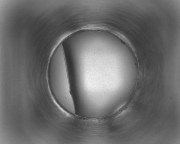 X0000062850855200601130919