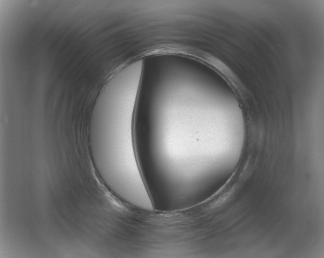 X0000062850857200601130919