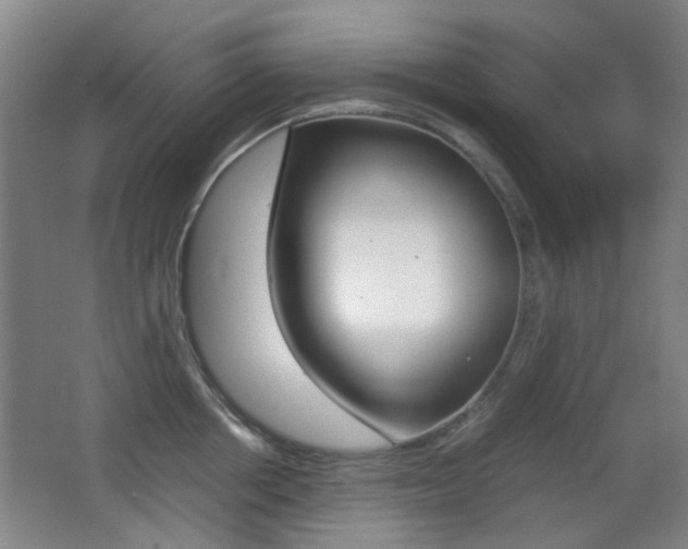 X0000062850858200601130919