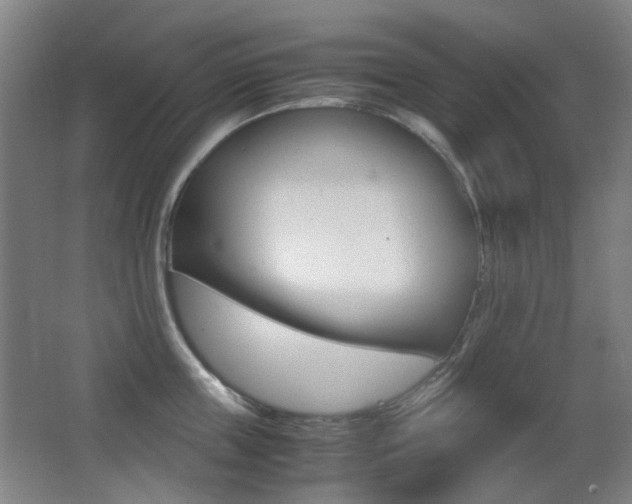 X0000062850859200601130919