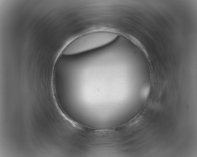 X0000062850863200601130919