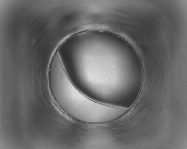X0000062850864200601130919