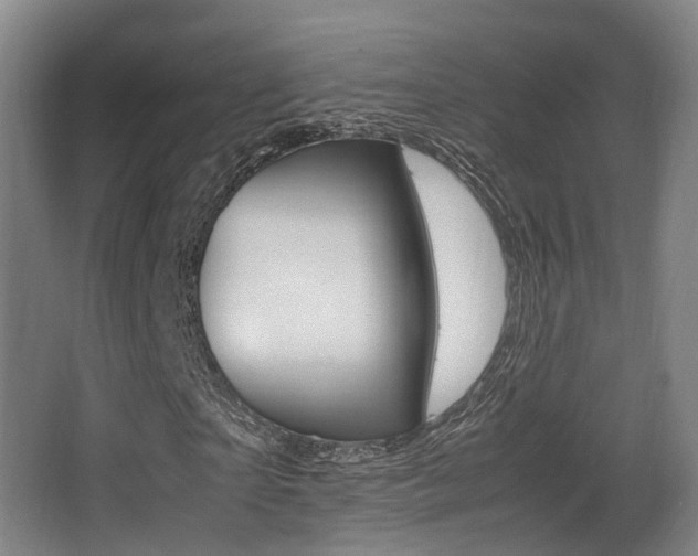 X0000062850865200601130918