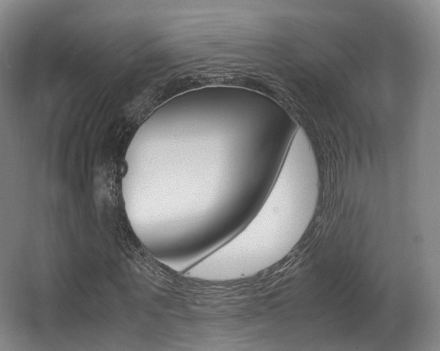 X0000062850867200601130918