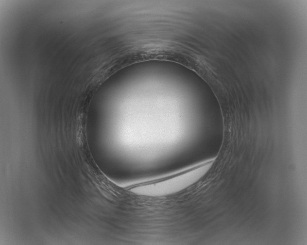 X0000062850868200601130918