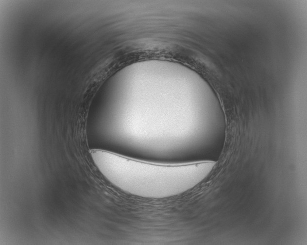 X0000062850869200601130918