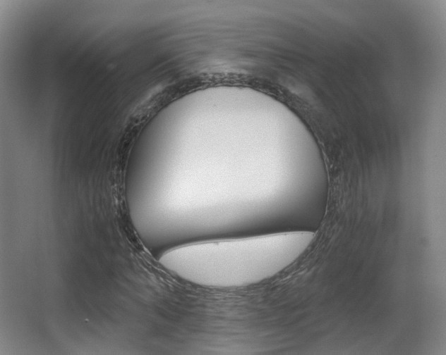 X0000062850870200601130918