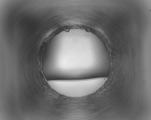 X0000062850871200601130918