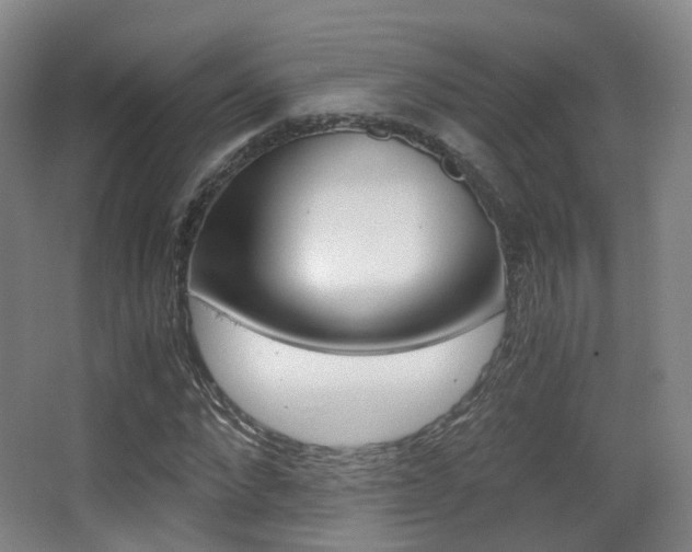 X0000062850872200601130918