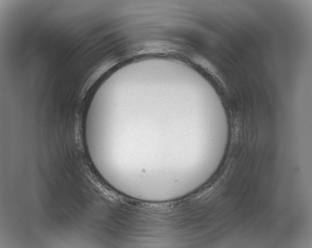 X0000062850874200601130918