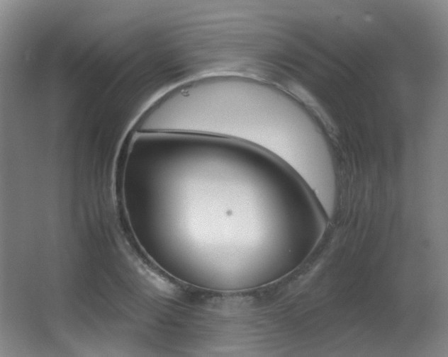 X0000062850884200601130918