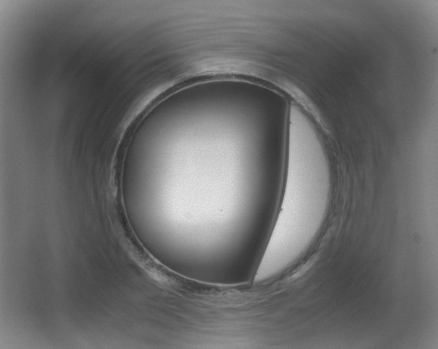 X0000062850885200601130918