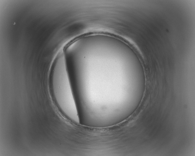X0000062850887200601130918