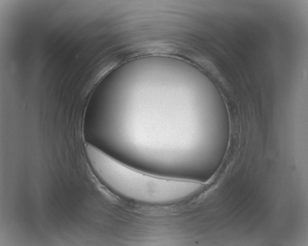 X0000062850889200601130918
