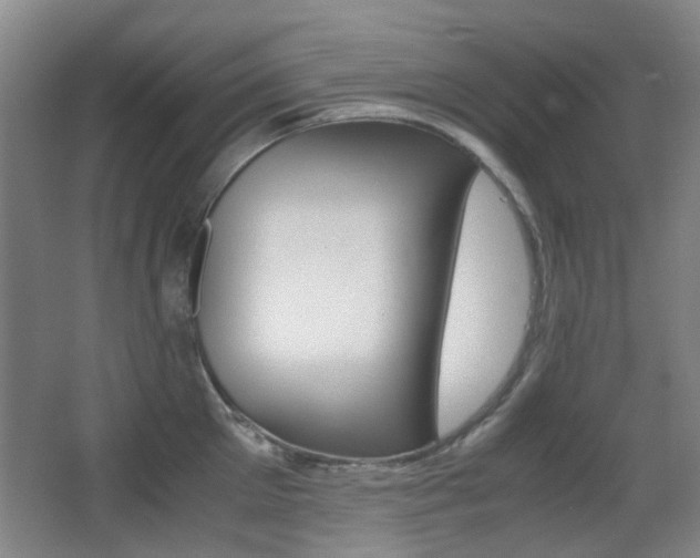 X0000062850905200601130918