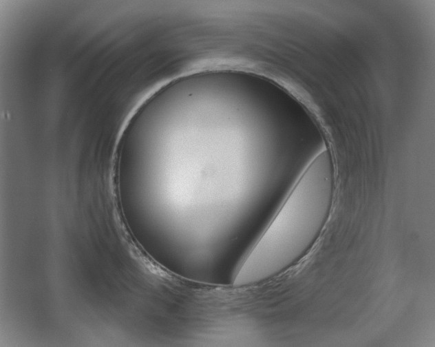 X0000062850912200601130917