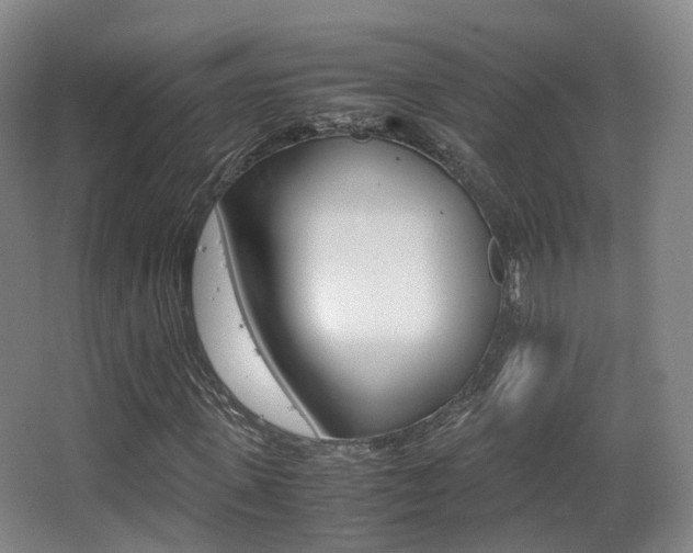 X0000062850915200601130917