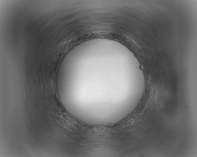 X0000062850917200601130917