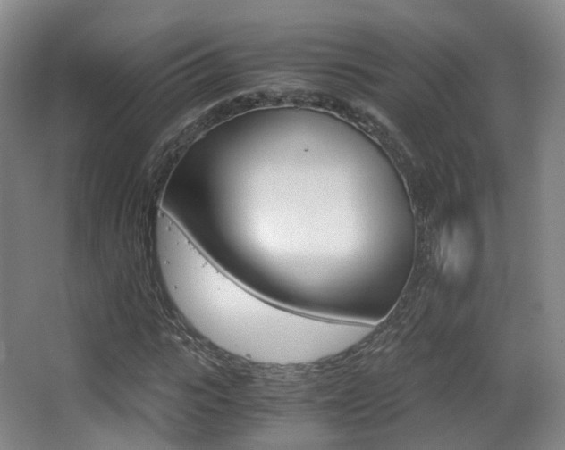 X0000062850919200601130917