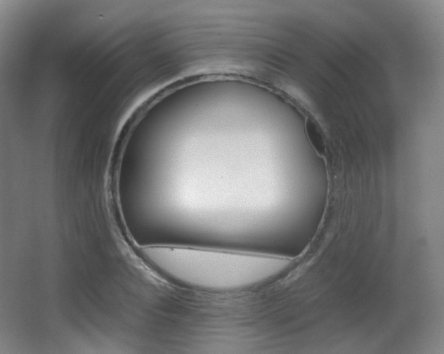 X0000062850928200601130917