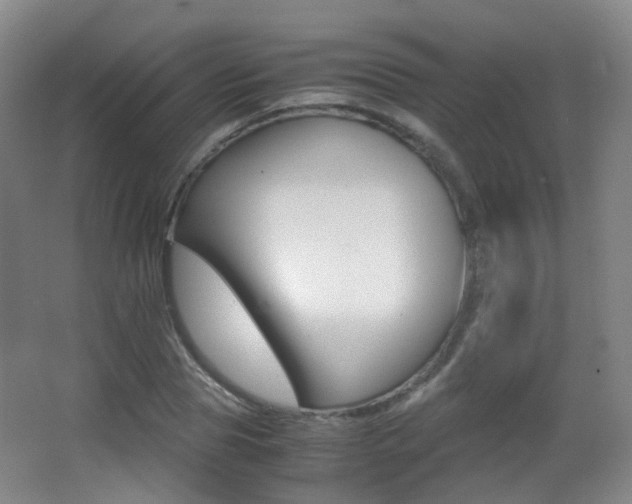 X0000062850929200601130917