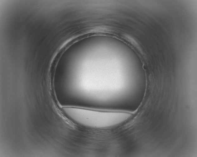 X0000062850931200601130917