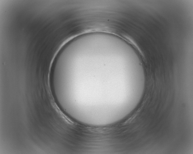 X0000062850932200601130917