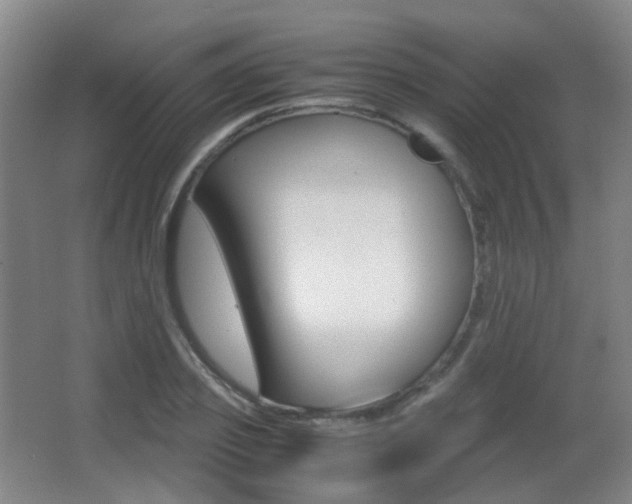 X0000062850933200601130917