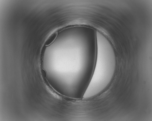 X0000062850942200601130917