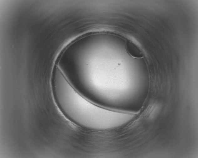 X0000062850943200601130917