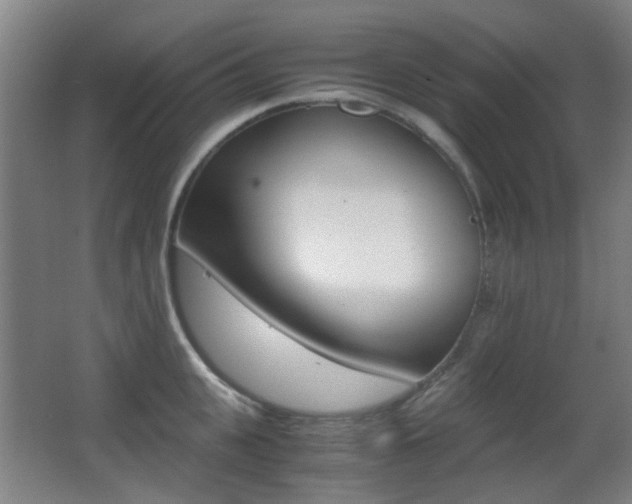 X0000062850951200601130917