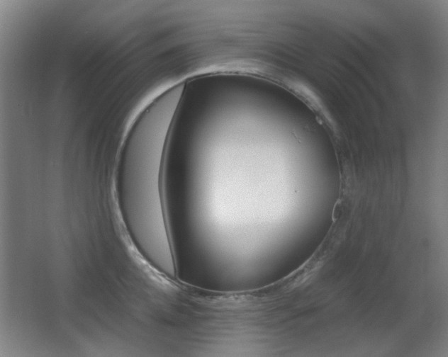 X0000062850952200601130917