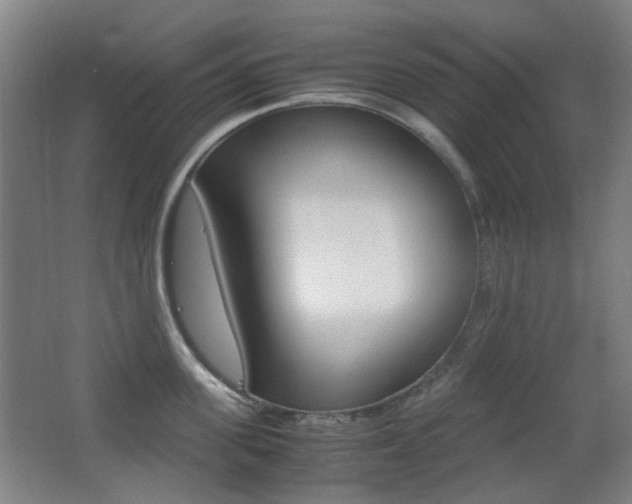 X0000062850955200601130917