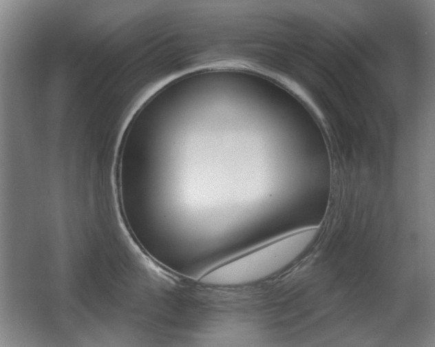 X0000062850959200601130917