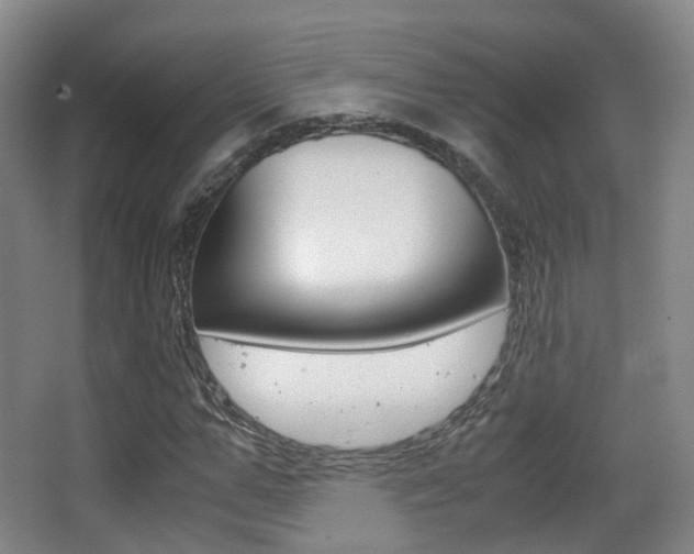 X0000062850967200601130916