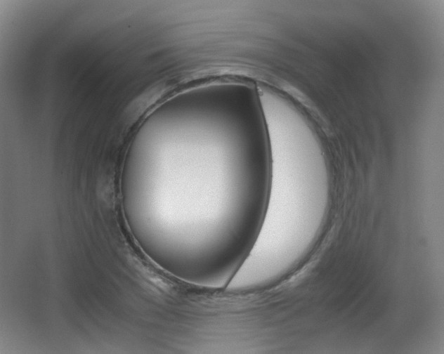 X0000062850977200601130916