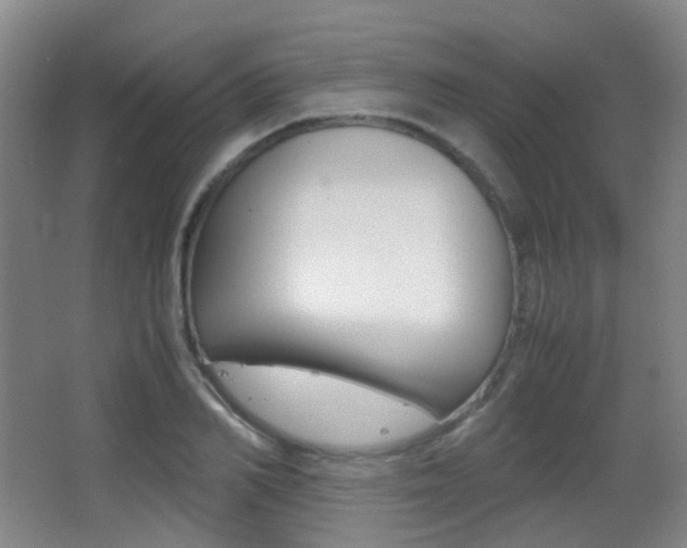 X0000062850982200601130916