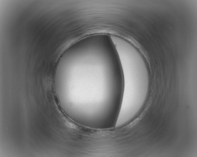 X0000062850993200601130916
