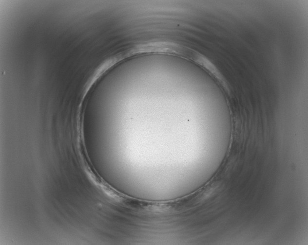 X0000062850994200601130916