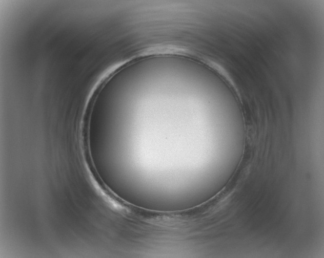 X0000062850995200601130916