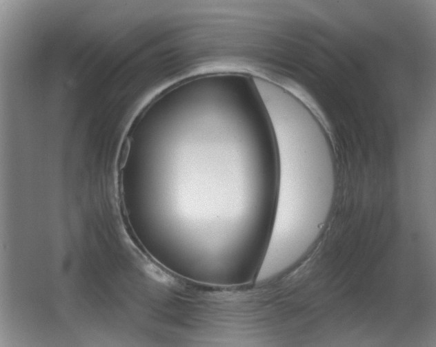 X0000062850996200601130916