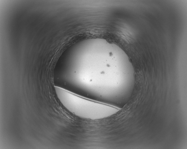 X0000062851009200601130915