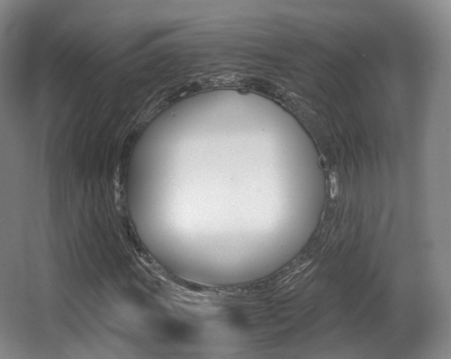 X0000062851011200601130915